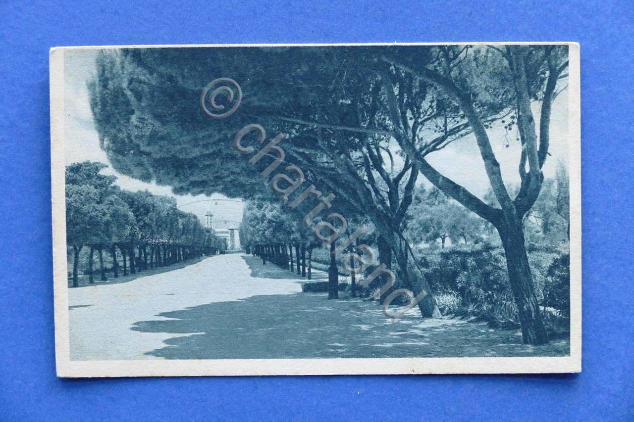 Cartolina Trani - Villa Comunale 1920 ca..