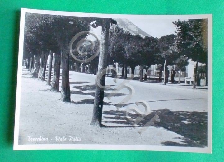 Cartolina Trecchina - Viale Italia - 1961.