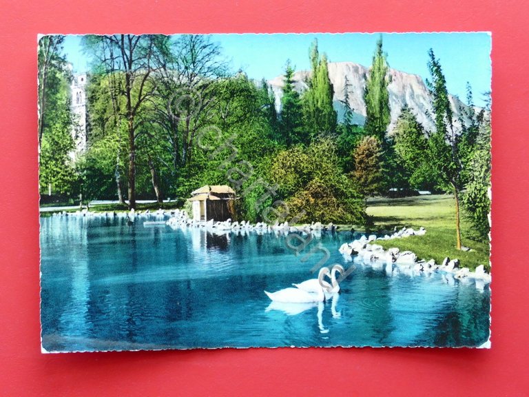 Cartolina Trento - Giardini di Piazza Dante - Laghetto dei …