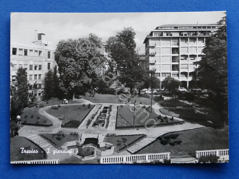 Cartolina Treviso - I giardini - 1964
