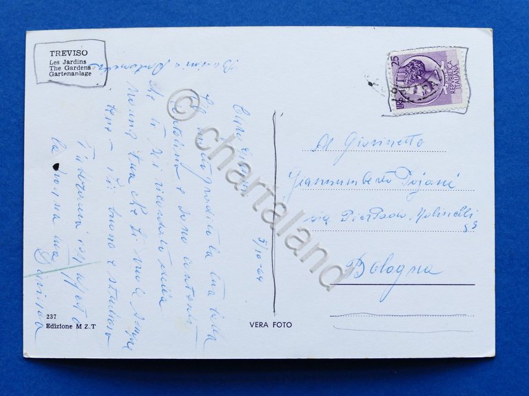 Cartolina Treviso - I giardini - 1964