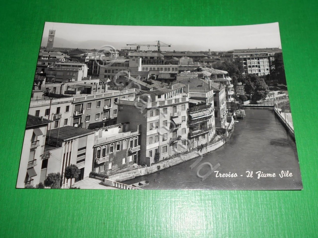 Cartolina Treviso - Il Fiume Sile e scorcio panoramico 1955 …