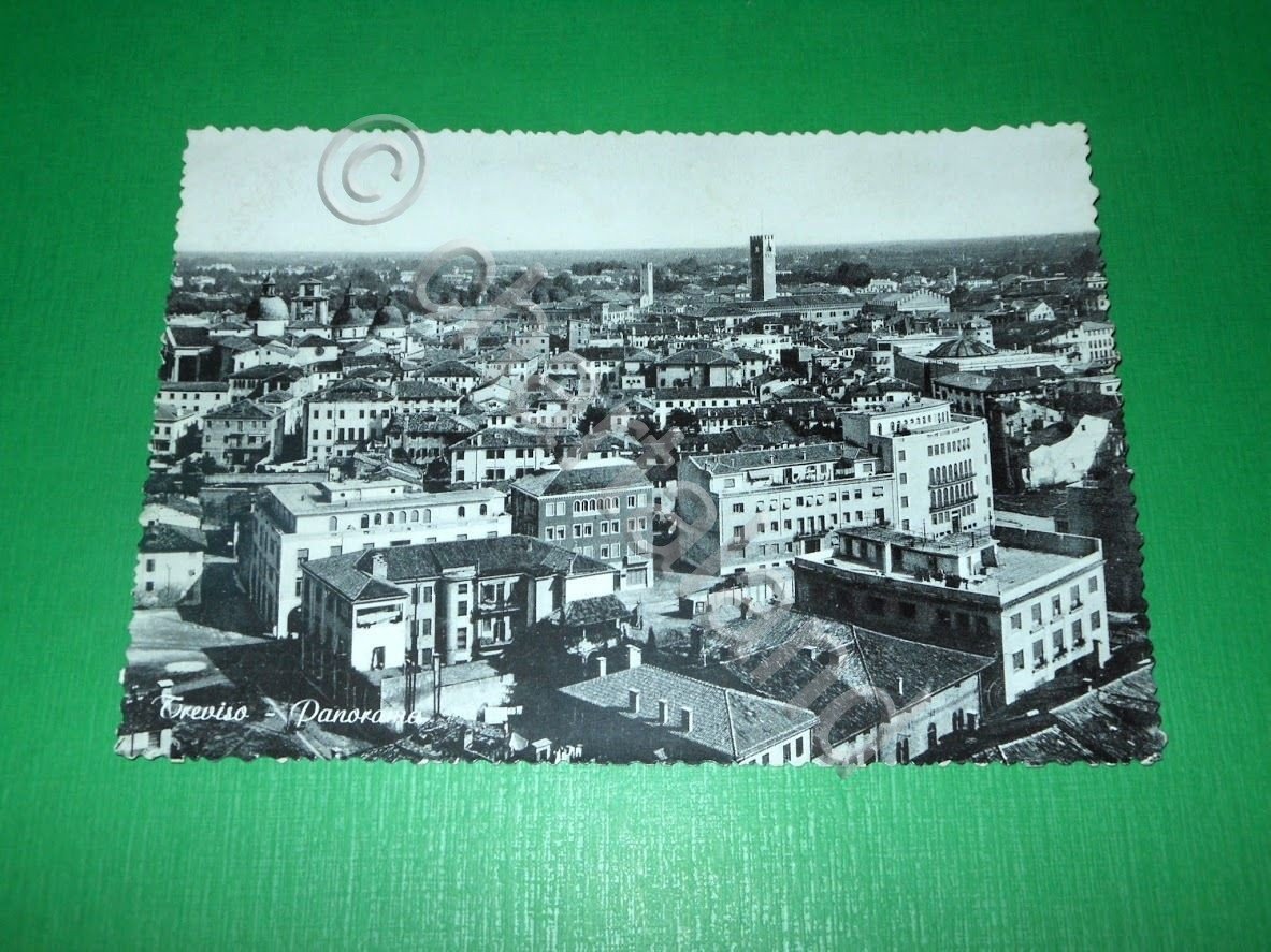 Cartolina Treviso - Panorama 1962