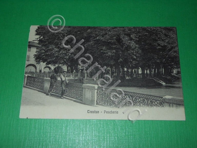 Cartolina Treviso - Pescheria 1913