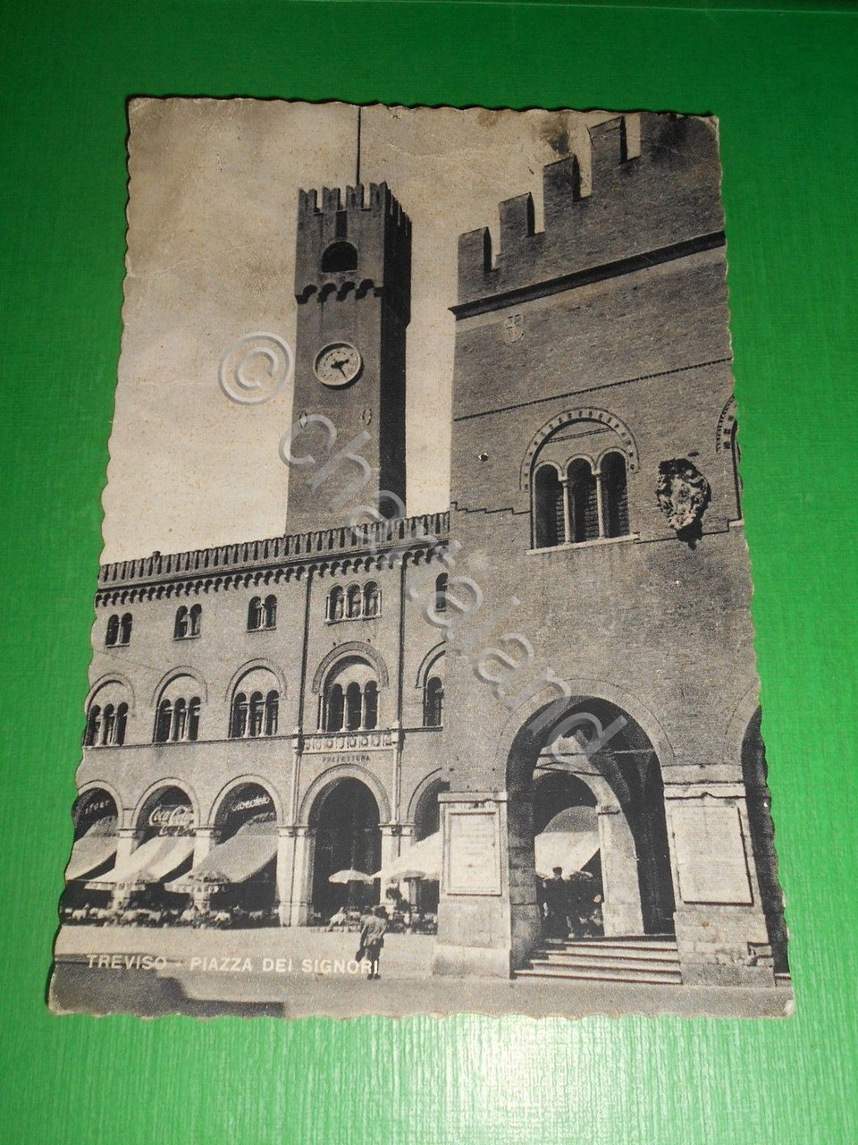 Cartolina Treviso - Piazza dei Signori 1954.