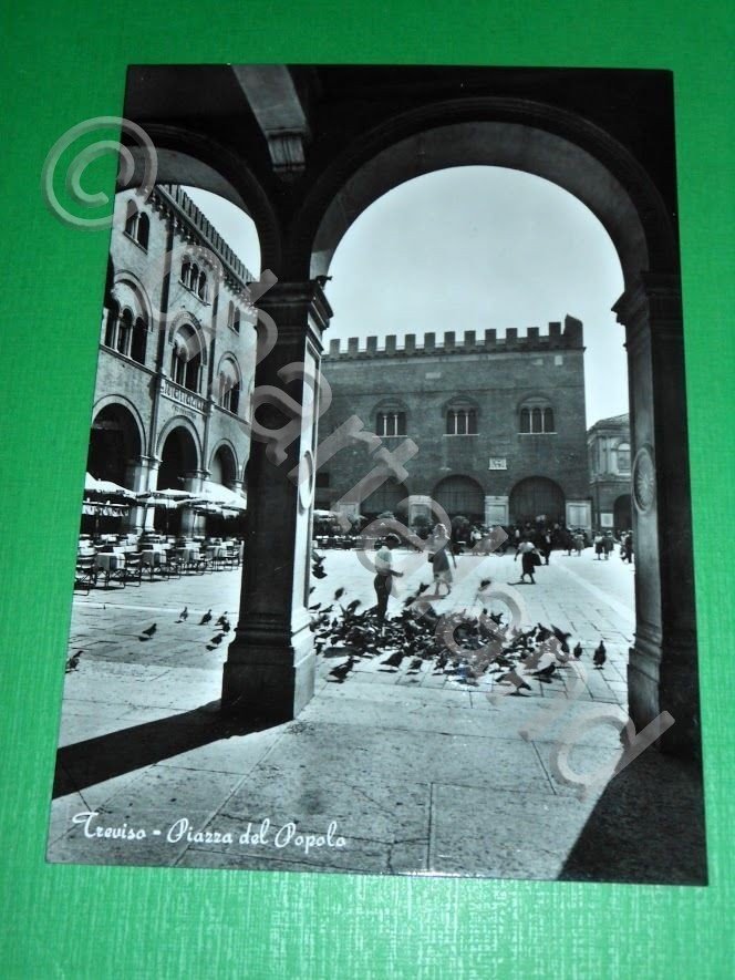 Cartolina Treviso - Piazza del Popolo 1955 ca