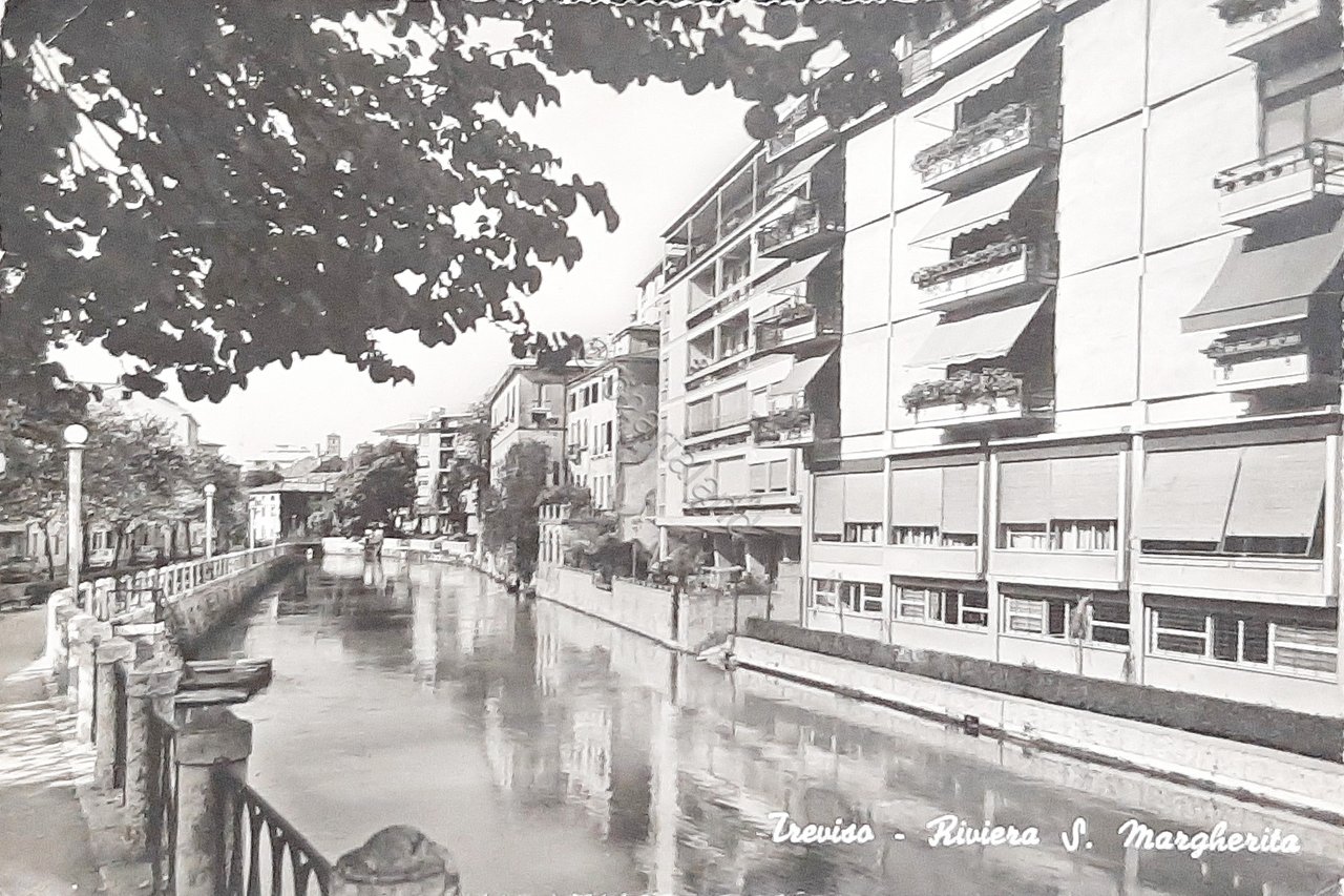 Cartolina Treviso - Riviera S. Margherita - 1962