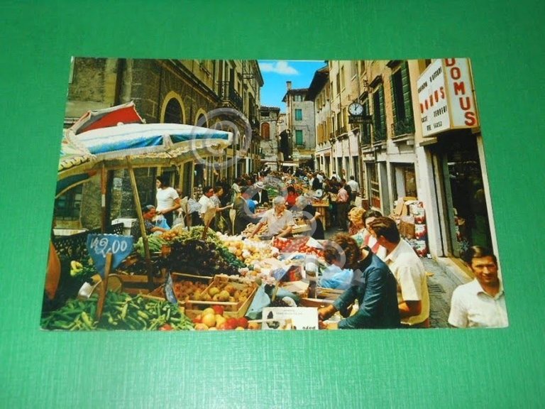 Cartolina Treviso - Via Pescheria 1970 ca.