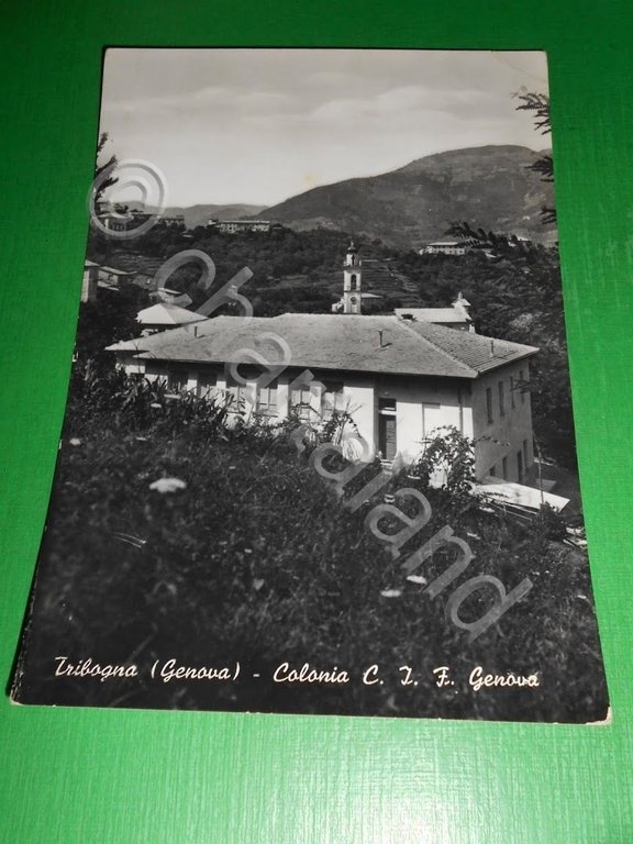 Cartolina Tribogna ( Genova ) - Colonia C.I.F. Genova 1955 …