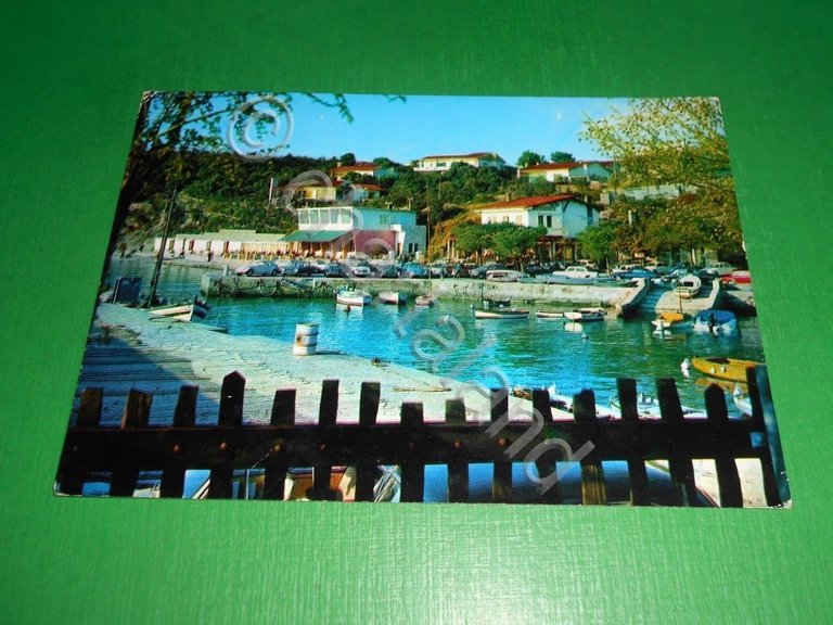Cartolina Trieste - Duino - Il Porticciolo 1967.