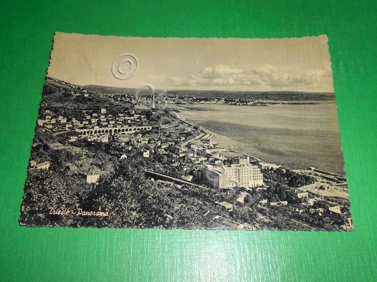 Cartolina Trieste - Panorama 1955.