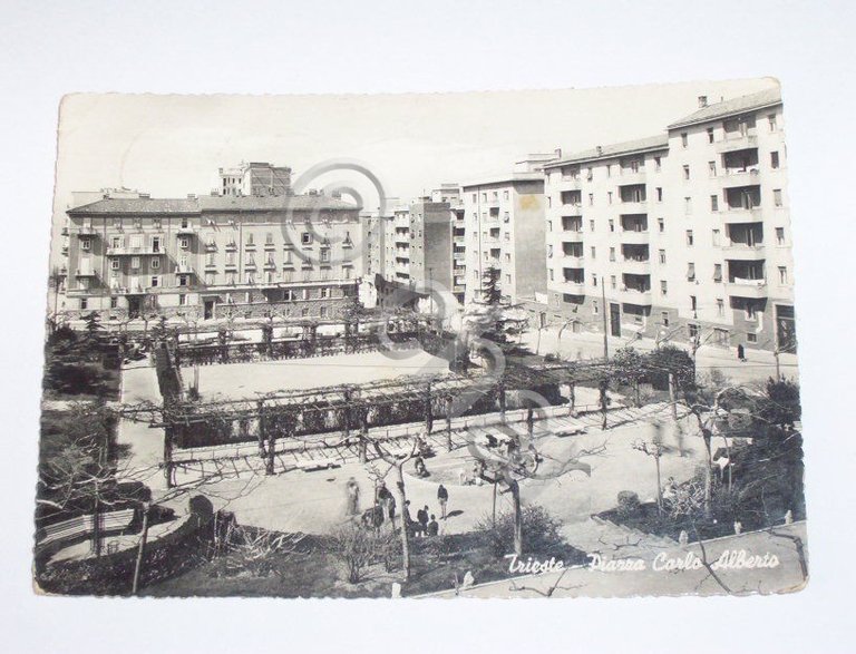 Cartolina Trieste - Piazza Carlo Alberto 1956