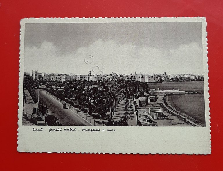 Cartolina Tripoli - Giardini Pubblici - Passeggiata a mare - … | Immagine Gallery 2