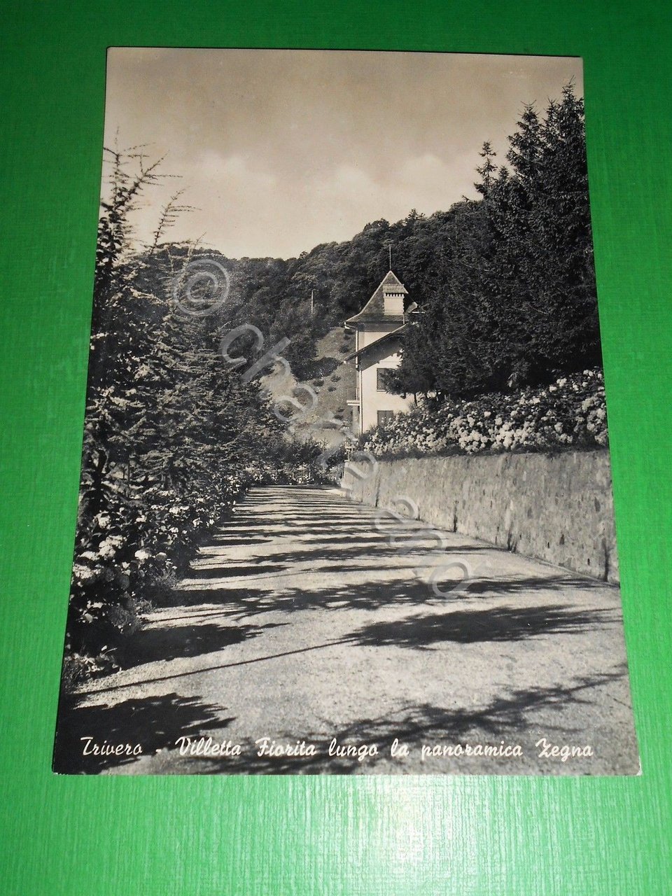 Cartolina Trivero - Villetta Fiorita lungo la panoramica Zegna 1955.