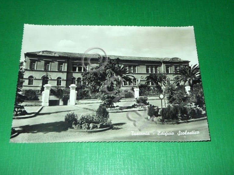 Cartolina Tuscania - Edificio Scolastico 1950 ca