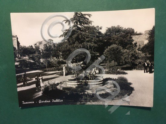 Cartolina Tuscania - Giardino Pubblico - 1951