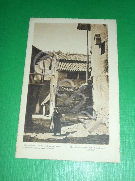 Cartolina Udine ( dintorni ) - Particolare 1916 ca