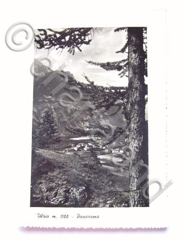 Cartolina Ulzio ( Torino ) - Panorama 1957