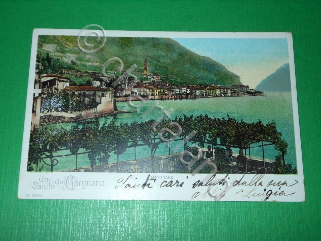 Cartolina Un saluto da Gargnano - Scorcio panoramico 1905.