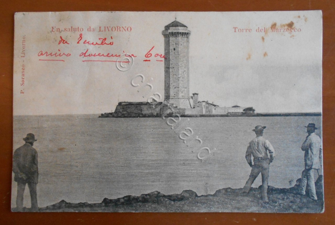 Cartolina Un saluto da Livorno - Torre del Marzocco - …