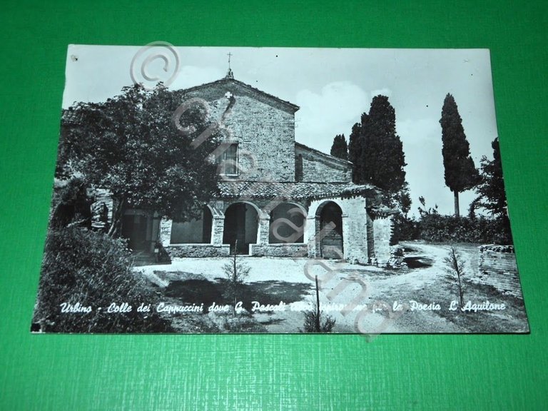 Cartolina Urbino - Colle dei Cappuccini 1967.