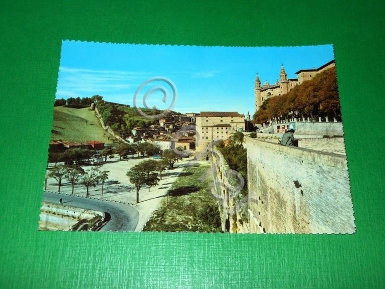Cartolina Urbino - Il Pincio 1960 ca