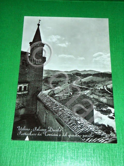 Cartolina Urbino - Palazzo Ducale 1960 ca.
