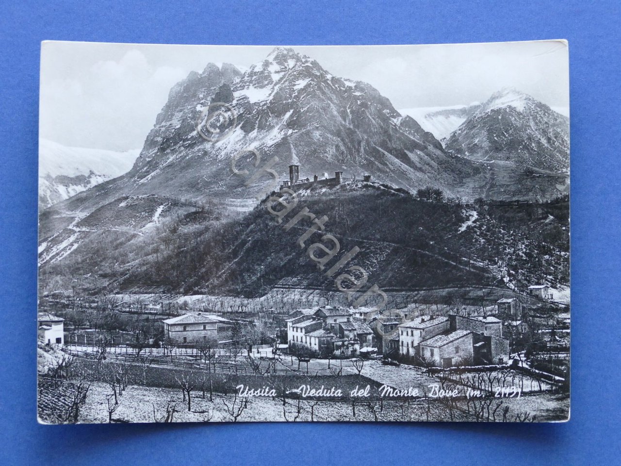 Cartolina Ussita - Veduta del Monte Bove - 1955.