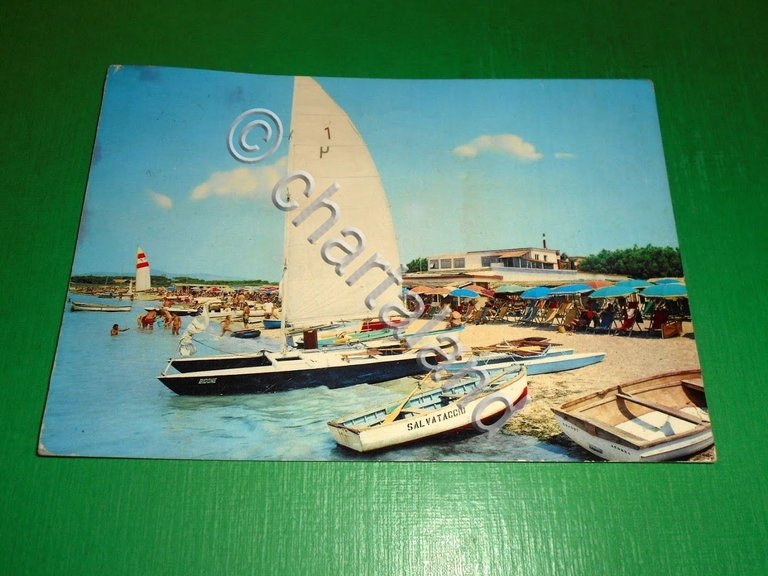 Cartolina Vada ( Livorno ) - Bagni La Barcaccina 1978