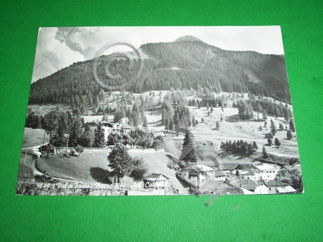 Cartolina ( Val di Fassa ) Moena - Alb. Catinaccio …