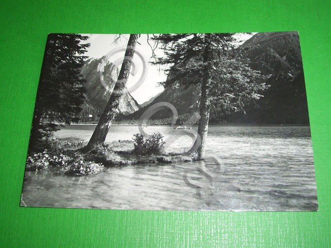 Cartolina Val Pusteria - Lago di Dobbiaco 1964