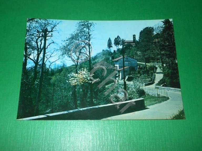 Cartolina Val Veddasca - Saluti da Graglio 1950