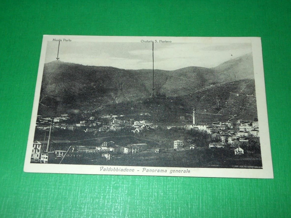 Cartolina Valdobbiadene ( Treviso ) - Panorama generale 1924
