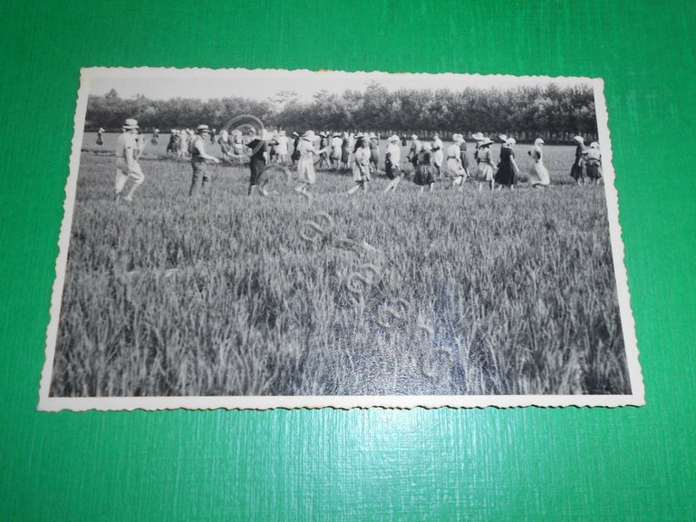 Cartolina Valeggio Lomellina ( Pavia ) - Cascina Erbogna 1930 …