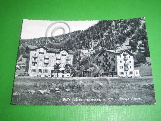 Cartolina Valle d' Aosta - Champoluc - Albergo Cervino 1950 …