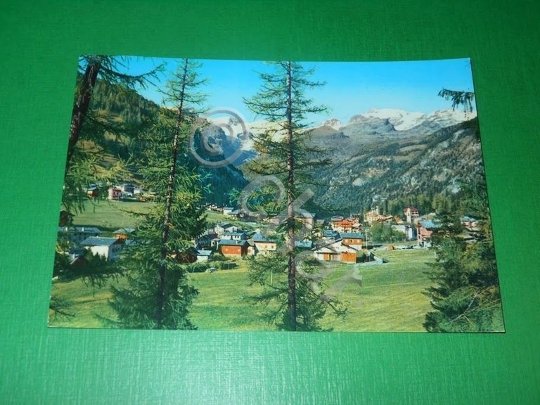 Cartolina Valle d' Aosta - Champoluc - Panorama sfondo M. …