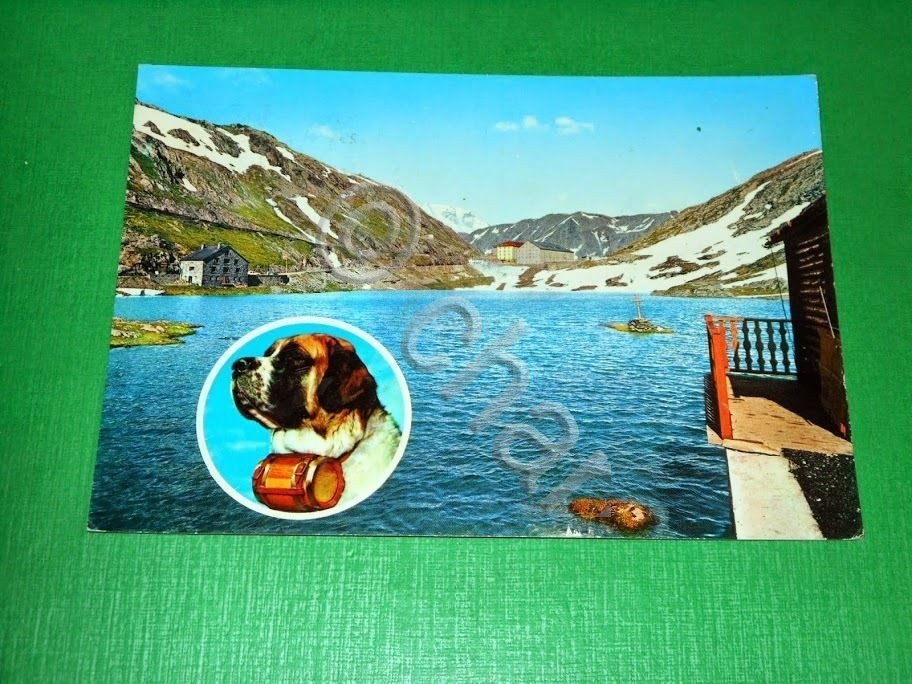Cartolina Valle d' Aosta - Lago Gr. S. Bernardo - …
