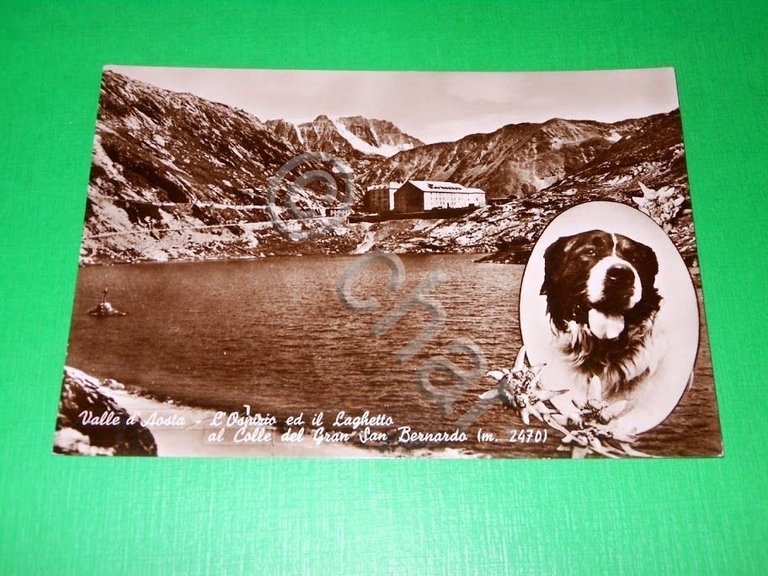 Cartolina Valle d' Aosta - Ospizio ed il Laghetto al …