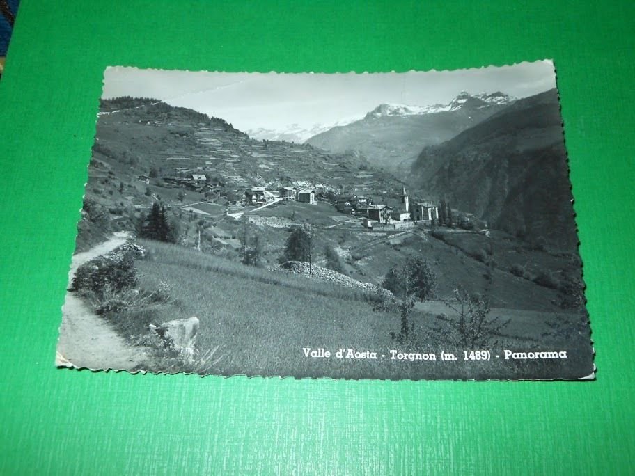 Cartolina Valle d' Aosta - Torgnon - Panorama 1955.