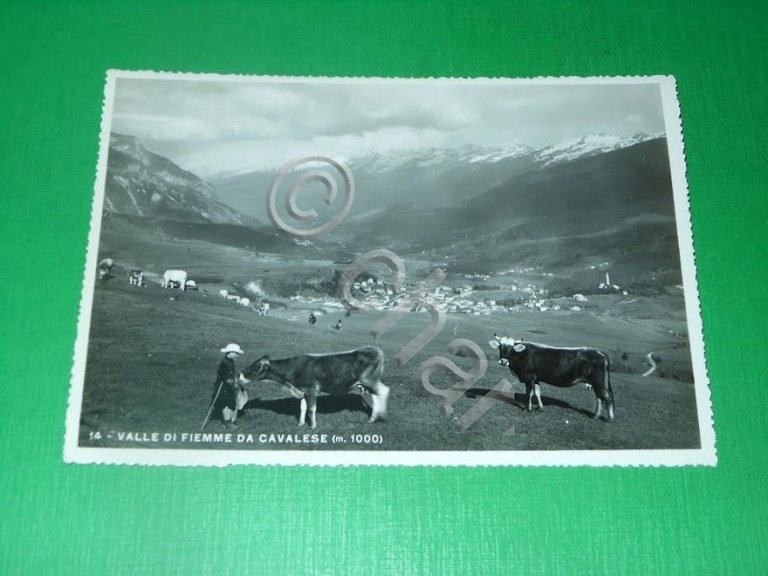Cartolina Valle di Fiemme da Cavalese - Panorama 1939