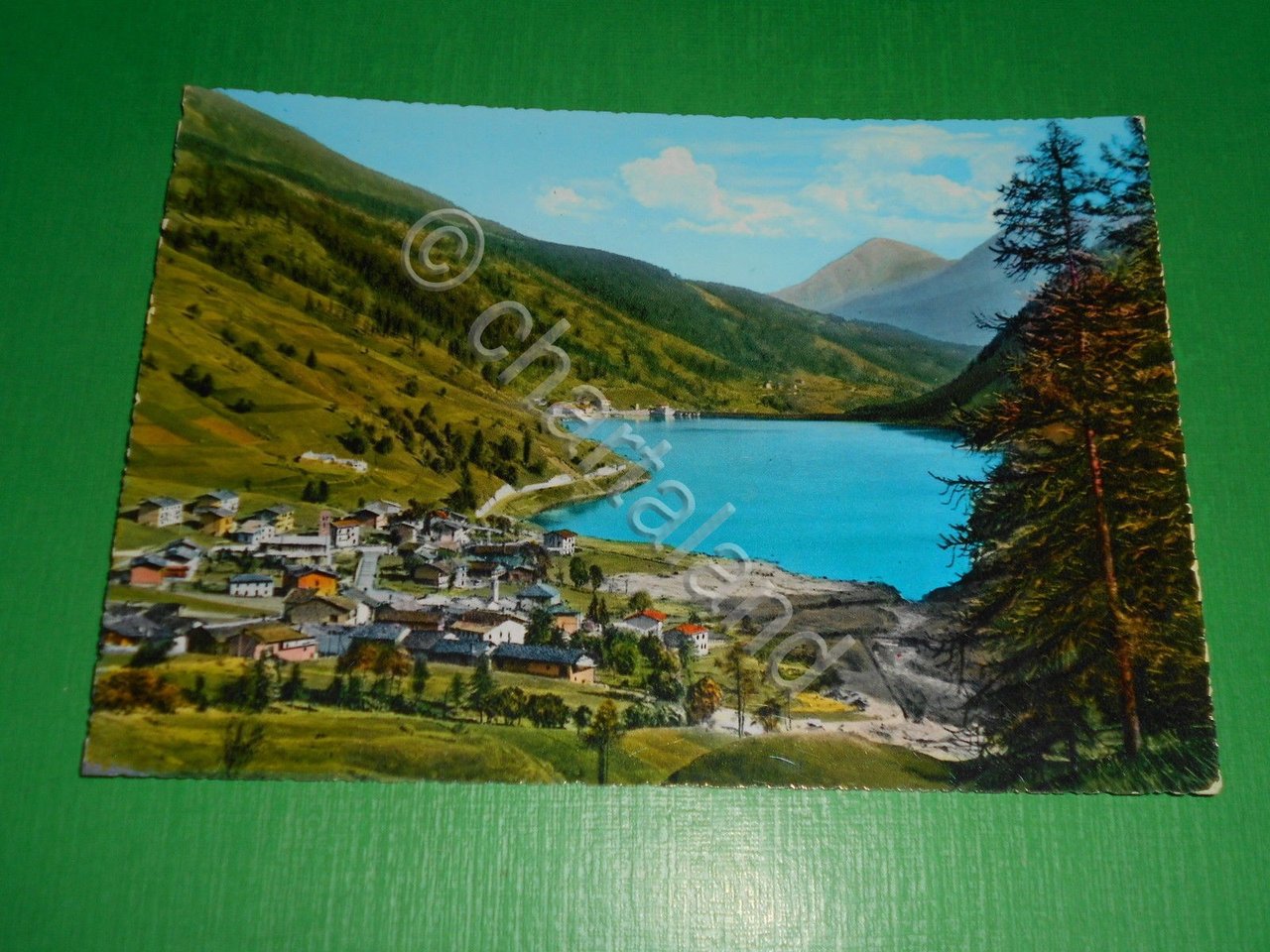 Cartolina Valle Varaita - Pontechianale - Panorama col Lago 1965 …