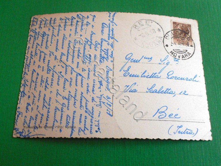 Cartolina Valle Vigezzo - Druogno - Sullo sfondo Albogno 1958.