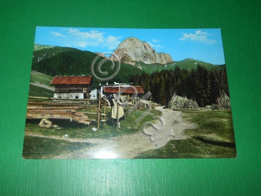 Cartolina Valle Visdende - M. Peralba 1960 ca.