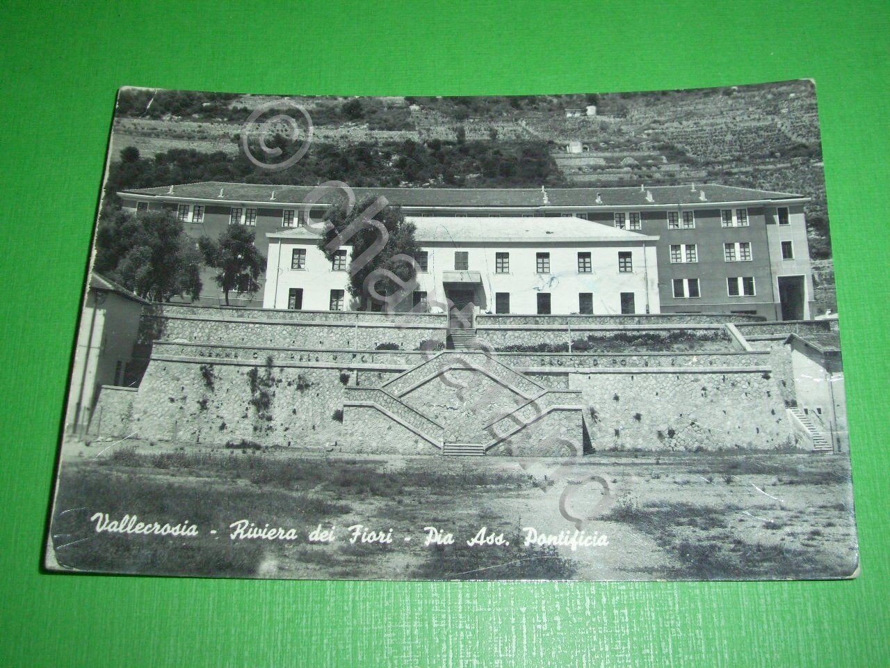 Cartolina Vallecrosia - Riviera dei Fiori - Pia Ass. Pontificia …
