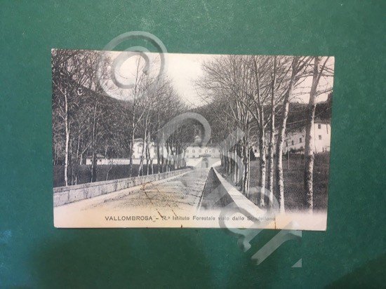 Cartolina Vallombrosa - R. Istituto Forestale Visto Dallo Stradellone - …