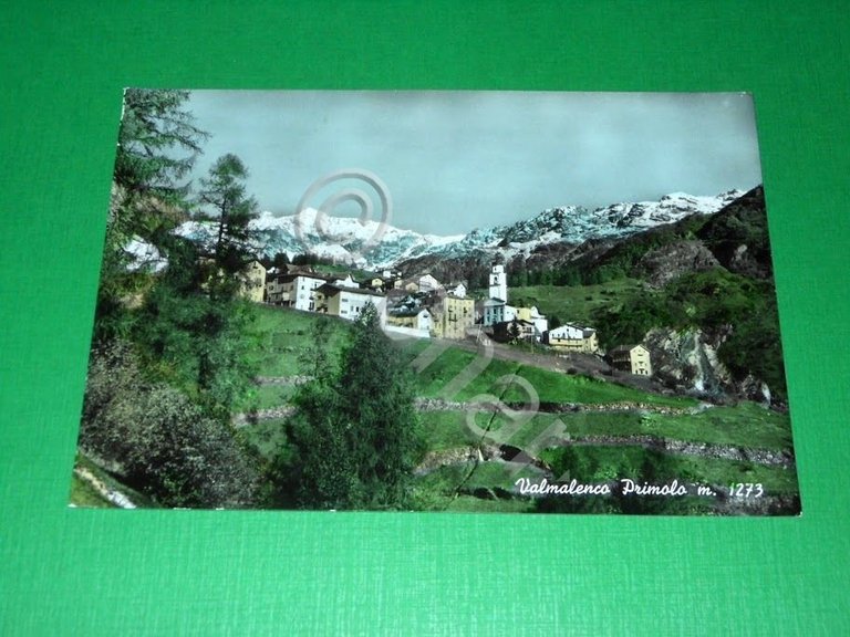 Cartolina Valmalenco Primolo - Panorama 1960.