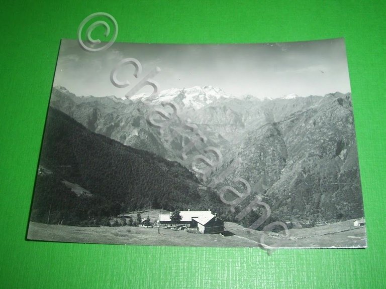 Cartolina Valsesia - Mera - Massiccio del Rosa da Mera …