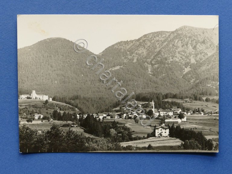 Cartolina Varena e Colonia Pavese - 1953 | Immagine Gallery 3