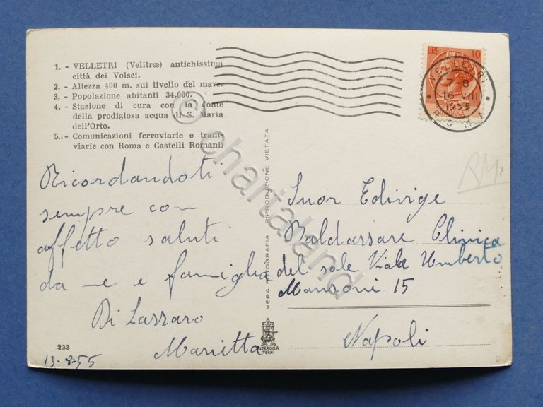 Cartolina Velletri - Viale Regina Margherita - 1955