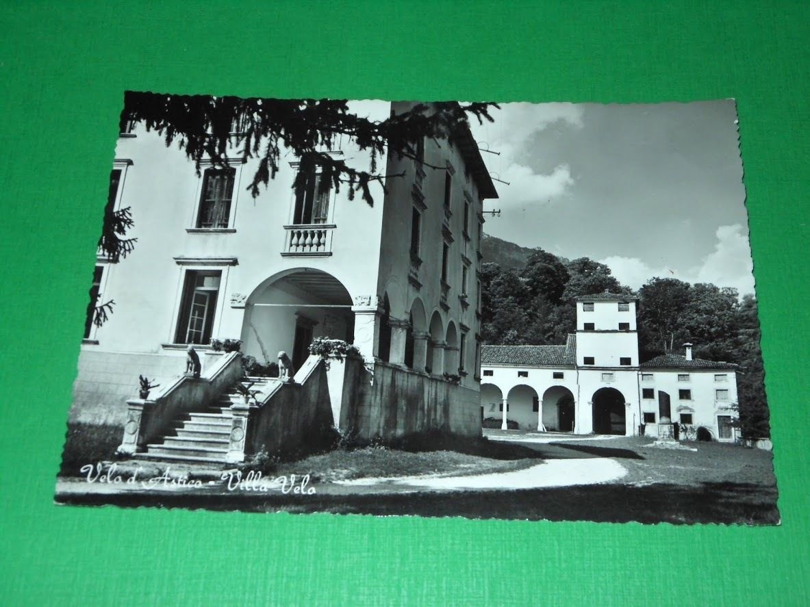 Cartolina Velo d' Astico - Villa Velo 1955 ca.
